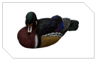 Direct 3Dview - Duck